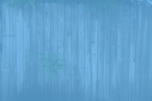 Fence wash blue